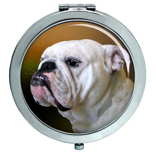 Inglese bulldog specchio - inglese,