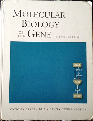 Molecular biology the - molecular, of