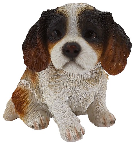 Cane cavalier king mignon - king, cm