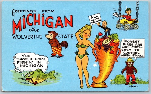 C1970 saluti dal michigan - michigan, lo