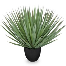 Piante artificiali Yucca