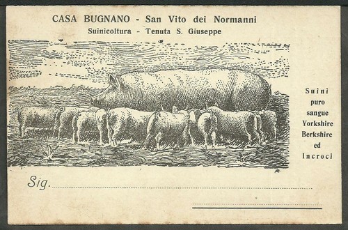 Cartolina casa bugnano - cartolina,
