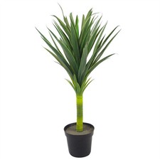 Albero di Yucca Artificiale