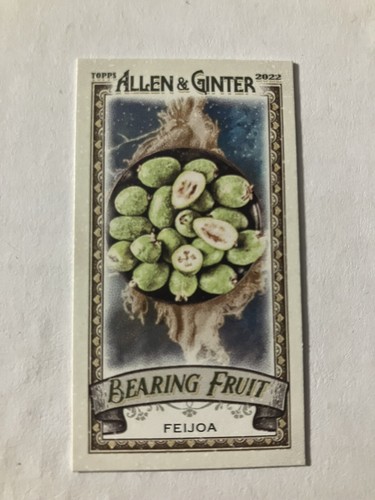 2022 topps allen - 2022, and