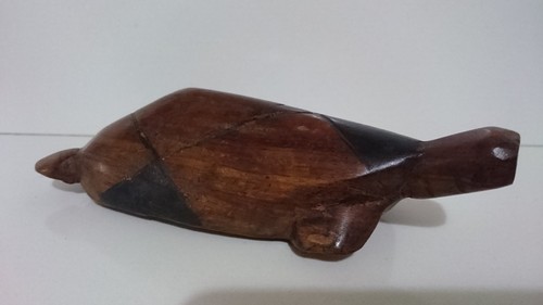 Tartaruga legno africana - in,