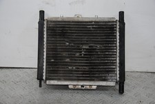 63560- Radiatore + Elettroventola Peugeot Geopolis 125 / 250 dal 2005 al 2012