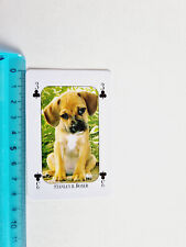 STANLEY BOXER CANE DOG CARD