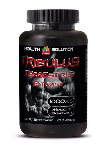 Ageless man tribulus - ageless, terrestis