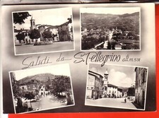 CARTOLINA SAN PELLEGRINO DI   GUALDO TADINO B/N VIAGGIATA 1965 SALUTI 4 VEDUTE