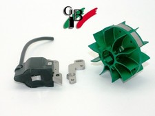 Accensione Bergonzoni  Per Motori Zenoah Rc 1:5
