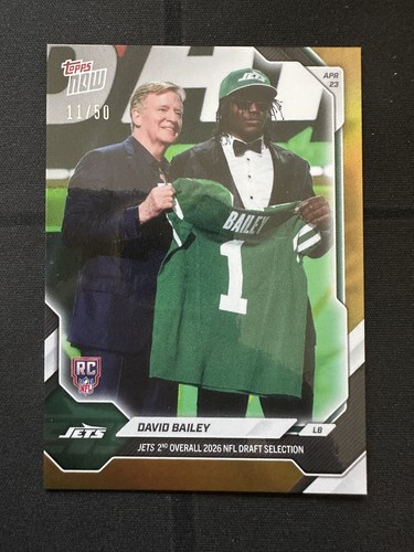 David bailey draft - bailey, rc