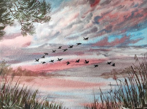 Ducks fly cloudy - ducks,