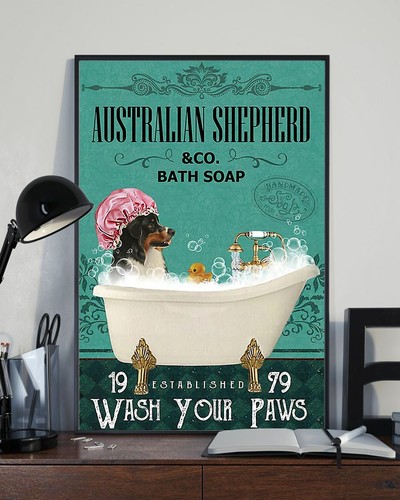 Australian shepherd and - australian,