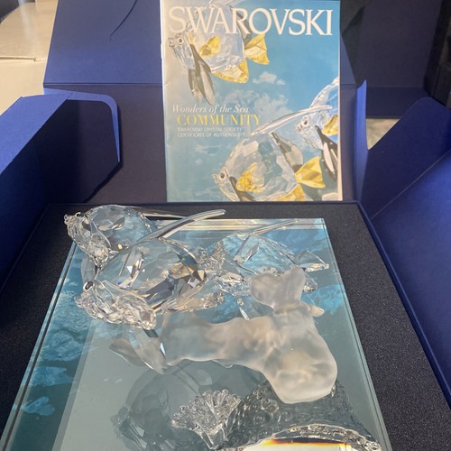 Swarovski meraviglie del mare