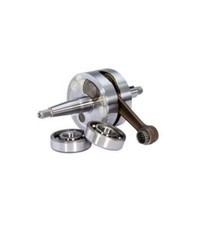 9921720 ALBERO MOTORE TPR SP12