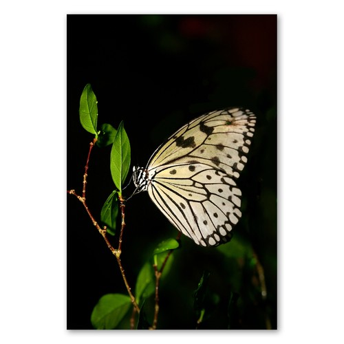 Postereck 3038 poster - postereck,