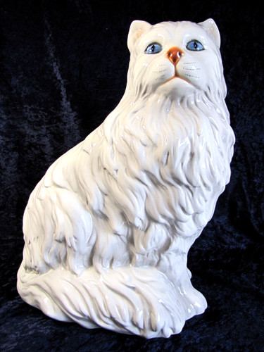 Gatto persiano ronzan - ronzan?,