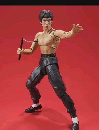 Action figure articolata bruce - action,