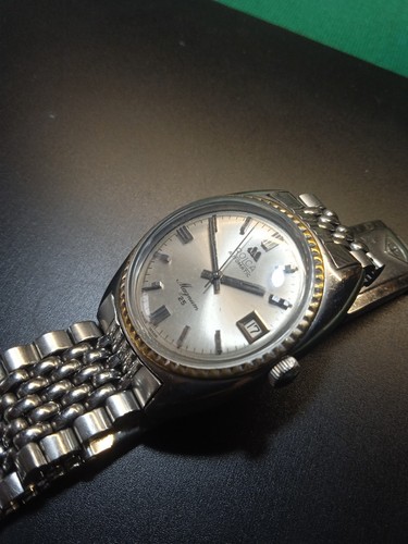 Rolca magnum aut cal eta - -,