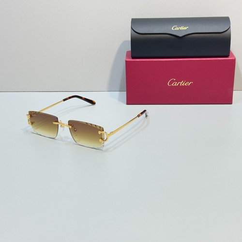 Cartier ct0092o big gold - ct0092o, c