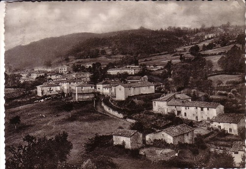 Cartolina scai di amatrice - ,