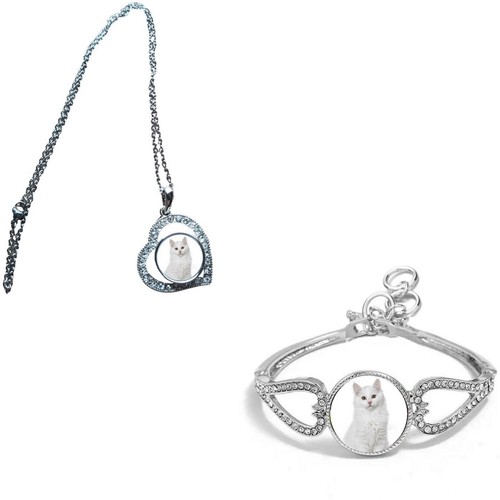 Set siberian cat pet - set,