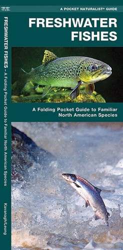 Freshwater fishes lakes - freshwater,