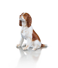 Richard Cooper Studio  Bone