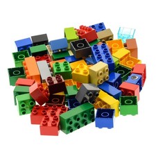 60 pezzi mattoncini da