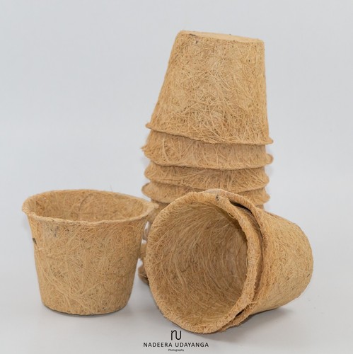Vasi fibra cocco - di,