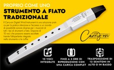 BLACKSTAR CARRY ON DIGITAL