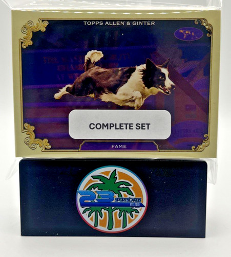 Set completo 2024 topps allen - completo,