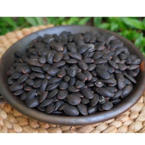 Biji dawung kedawung seeds 5 - biji,