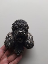 UNICA TESTA DI CANE BARBONCINO