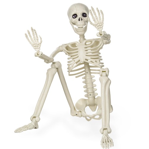 Scheletro halloween - di,