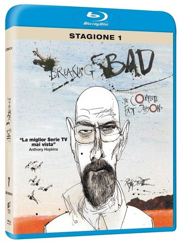 Breaking bad stagione 2 - bad, 01