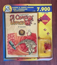 ESPLORANDO IL CORPO UMANO-FASCICOLO EDICOLA N.24-LIBRO+PARTE CORPO-DE AGOSTINI