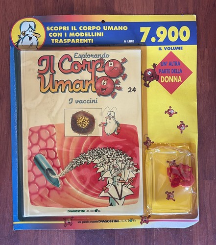 Esplorando corpo - esplorando, il