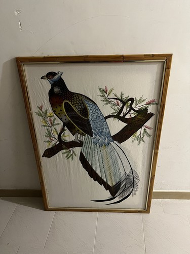 Quadro olio tela - tela, pavone