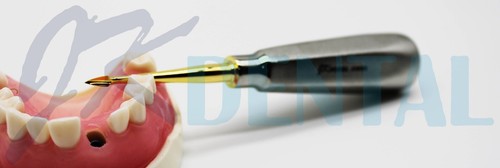 Dental bernard spade str - dental,