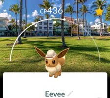 Pokemon Go/Eevee con sfondo