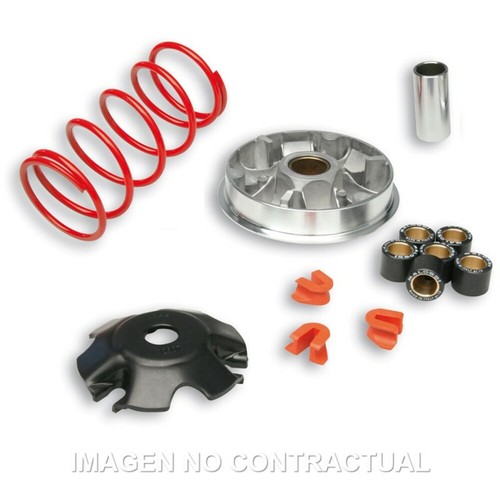 Variatore malossi multivar - variatore,