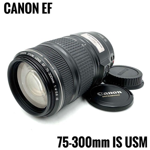 Canon 300 usm super - canon, is