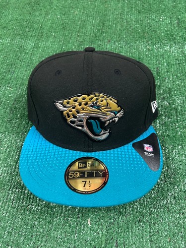 Jacksonville jaguars nfl new - jacksonville,