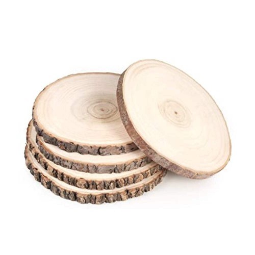 5pz base legno tronco - base,
