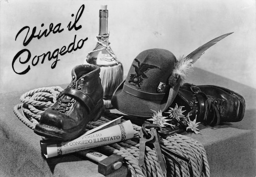 C4990 viva congedo - viva, il