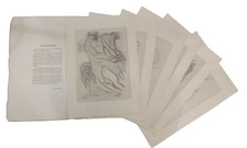 LITOGRAFIA GIORGIO MICHETTI RACCOLTA DI 6 LITOGRAFIE + COPERTINA ORIGINALE