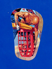 FIGURINA PANINI BIG JIM ALBUM