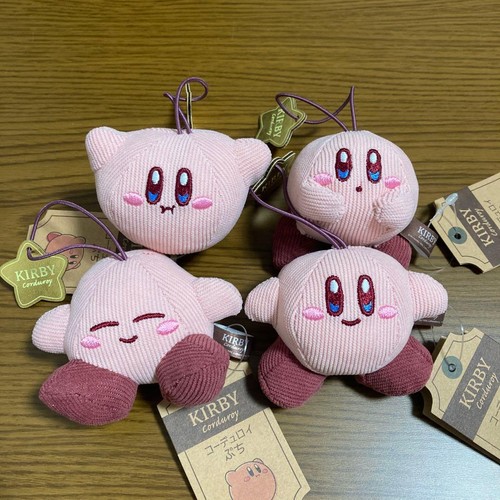 Kirby velluto coste petit - a,