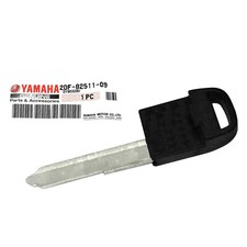 Chiave Telecomando Smart Key